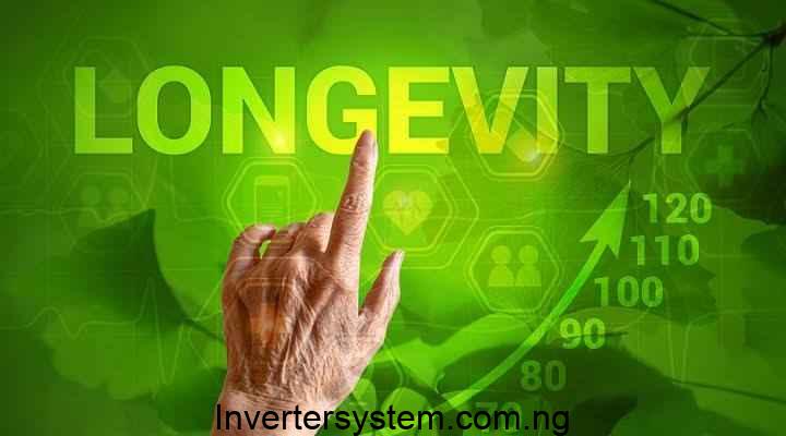 Enhancing Solar Inverter Performance for Longevity
