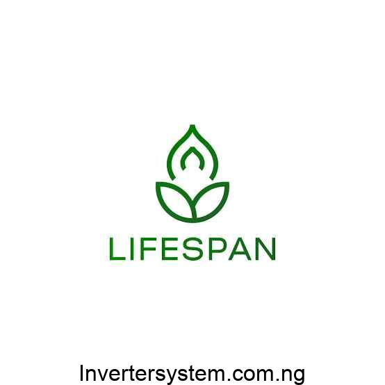 Solar Inverter Lifespan