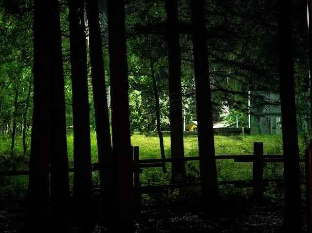 Performance in Shaded and Low-Light Conditions